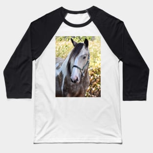 Drum horse Baseball T-Shirt